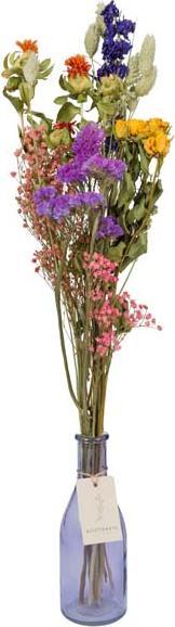 Floramall Bohemia (Fleurs séchées)