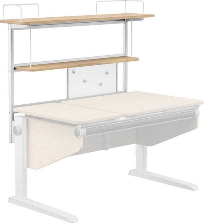 Produktbild Moll Winner (116 x 28 cm)