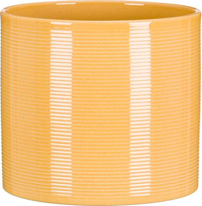 Image du produit Scheurich Zabaione (19 cm)