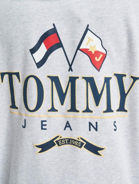Image du produit Tommy Hilfiger Tjm Skater Prep Back Hoodie (M)