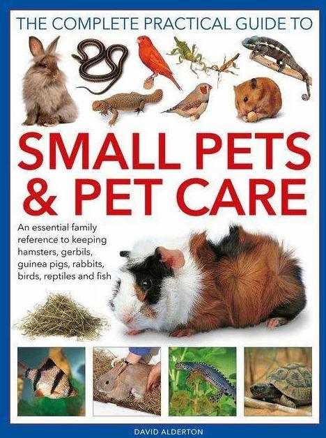 Immagine prodotto Small Pets and Pet Care, The Complete Practical Guide to (Inglese, David Alderton, 2022)