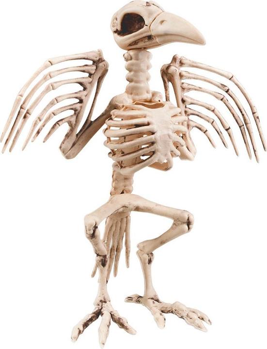 Produktbild Boland 10104768 BOL72094 Skeleton Bird Decoration, White
