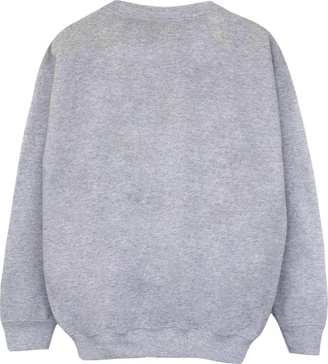Image du produit Disney Princess Filles Classic Ariel Sweatshirt (152, 158)