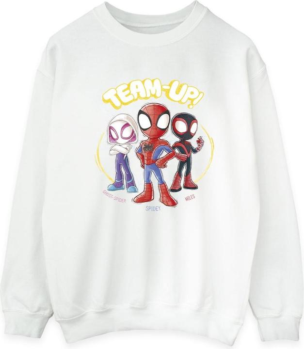 Produktbild Spidey And His Amazing Friends Sketch Sweatshirt (3XL)