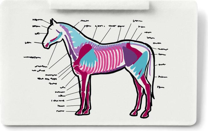 Actual product image Schleich Mobile veterinarian with Hanoverian foal