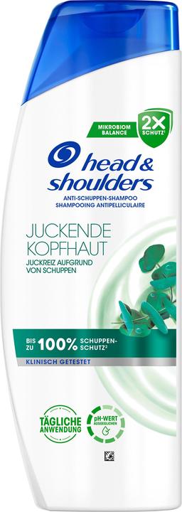 Head & Shoulders Itchy Scalp Care (500 ml, Liquid shampoo)