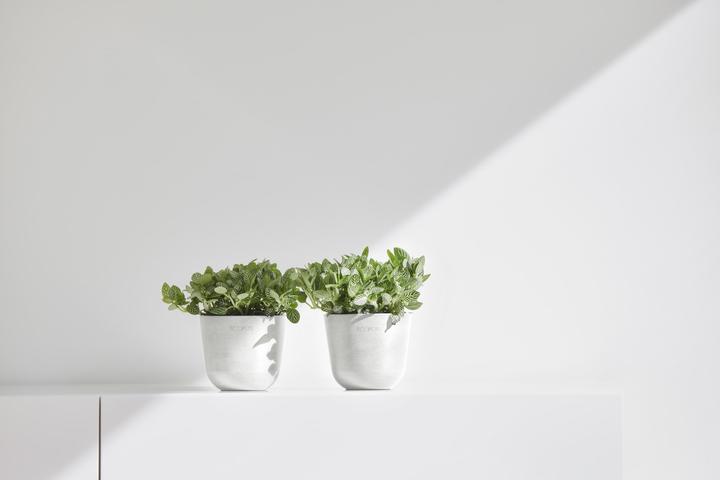Actual product image Ecopots Oslo Mini (11.50 cm)