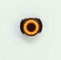 Produktbild Toad toad eye