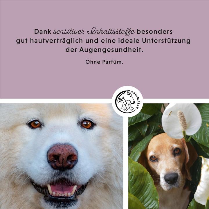 Actual product image Annimally Eye pads (Dog, Cat)