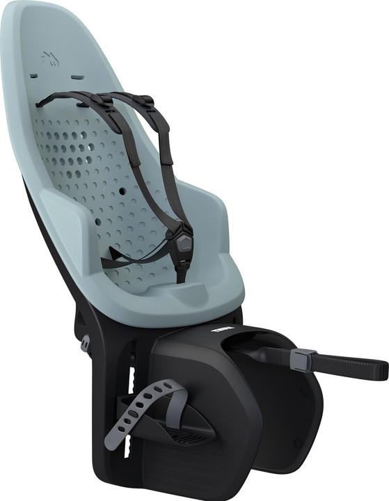 Actual product image Thule Yepp 2 Maxi (Carrier)