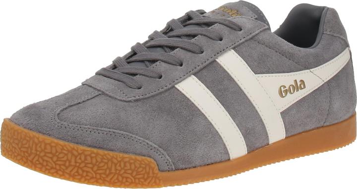 Gola Harrier