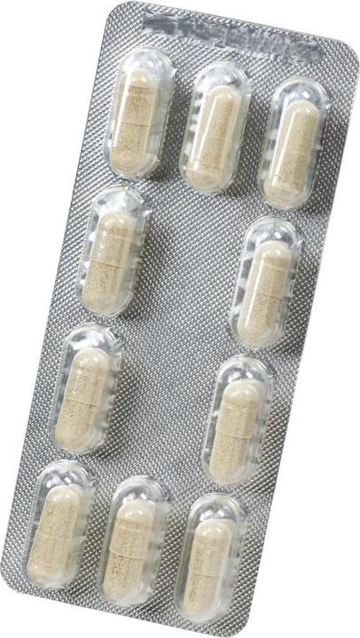 Actual product image Floradix Iron and B 12 Vegan (1 Piece, Capsules, 37 g)