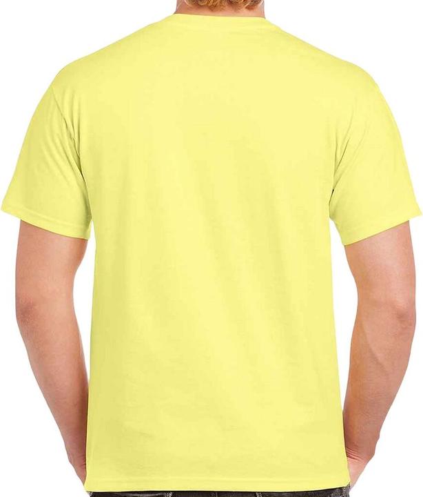 Actual product image Gildan Mens Heavy Cotton T-Shirt (XL)