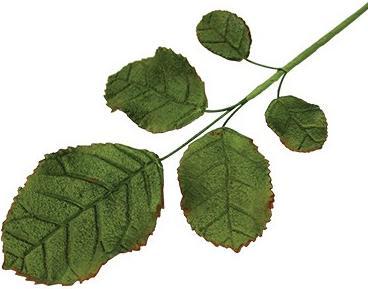 Image du produit PME Set d'emporte-pièces fleurs