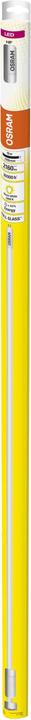 Actual product image Osram Led Tube (G5, 16 W, 2160 lm, 1 x, E)
