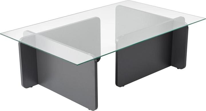 Skye Decor Flavio Coffee Table (105 x 30 x 65 cm)