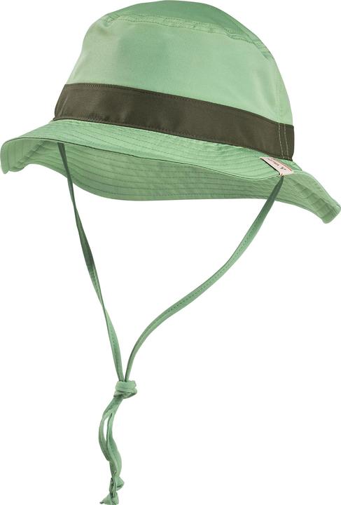 Verde salice