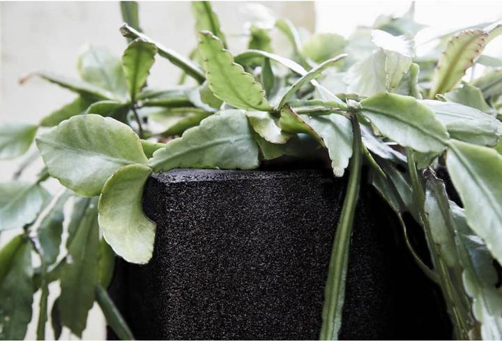 Image du produit Capi Tutch Pot (30 cm)