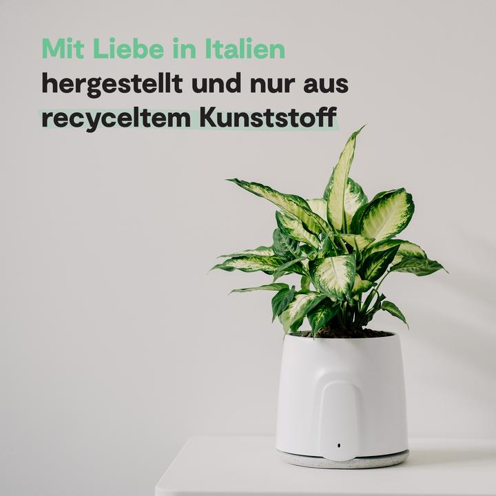 Actual product image Vitesy Natede Smart (20 m²)