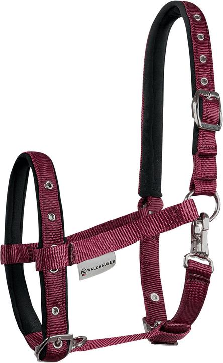 Image du produit Waldhausen Licol pour poulain Comfort