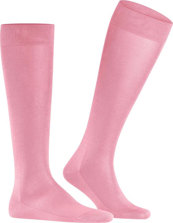 Actual product image Falke Tiago KH (43 - 44)