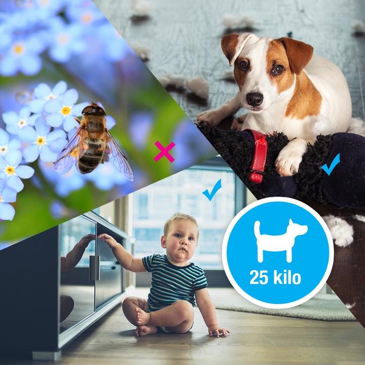 Actual product image EZVIZ C3A Duo Pack (1920 x 1080 Pixels)