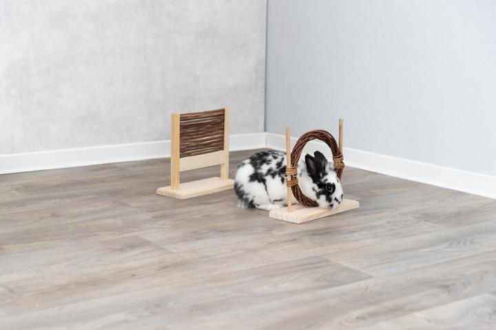 Produktbild Trixie Agility Set