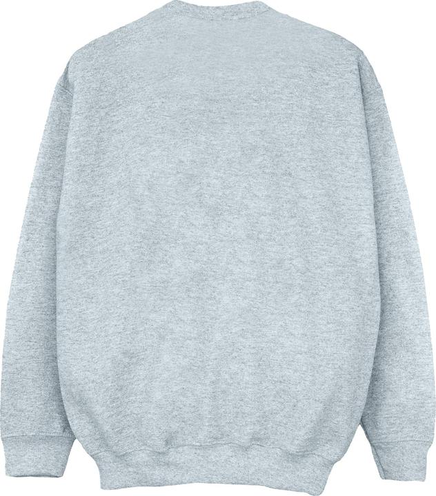 Image du produit Disney - Sweat THE LION KING COLOURS - Garçon (140, 146)