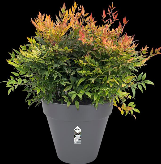 Actual product image Elho Loft Urban (28.50 cm)