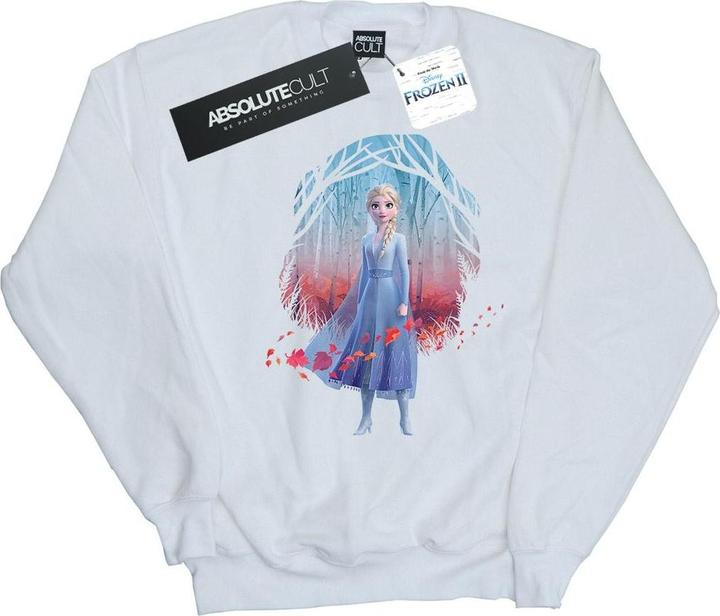 Actual product image Disney Womens/Ladies Frozen 2 Elsa Find The Way Sweatshirt (XXL)