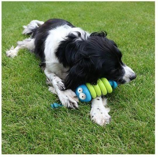 Image du produit EBI Jouet pour chien Coockoo Larry (Sac à friandises pour chien)