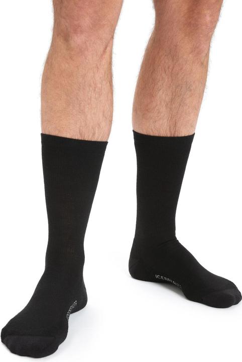 Actual product image Icebreaker Lifestyle Light Crew (39 - 41.5)