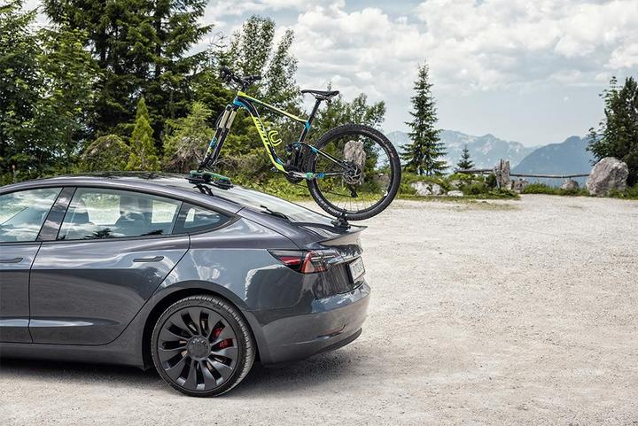 Actual product image TreeFrog Bike Rack Pro 1