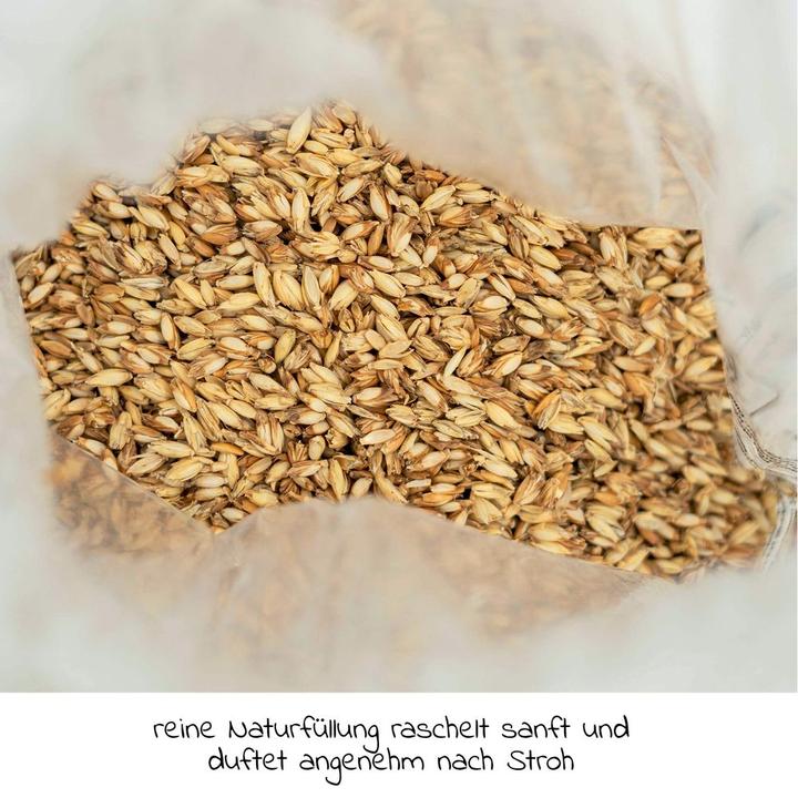 Image du produit Theraline Coussin d'allaitement "Das Original" avec rembourrage en épeautre, housse incluse 190 cm (38 cm)