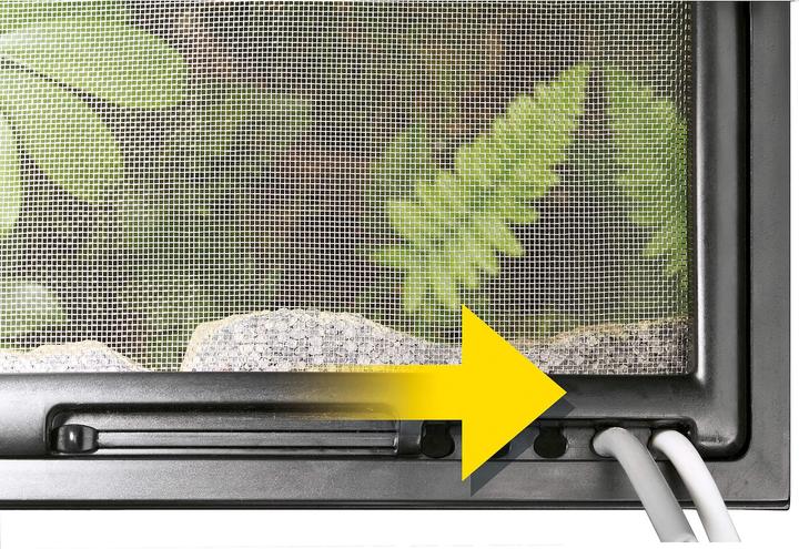 Actual product image Exo Terra Nano Glass Terrarium 20x20x20cm