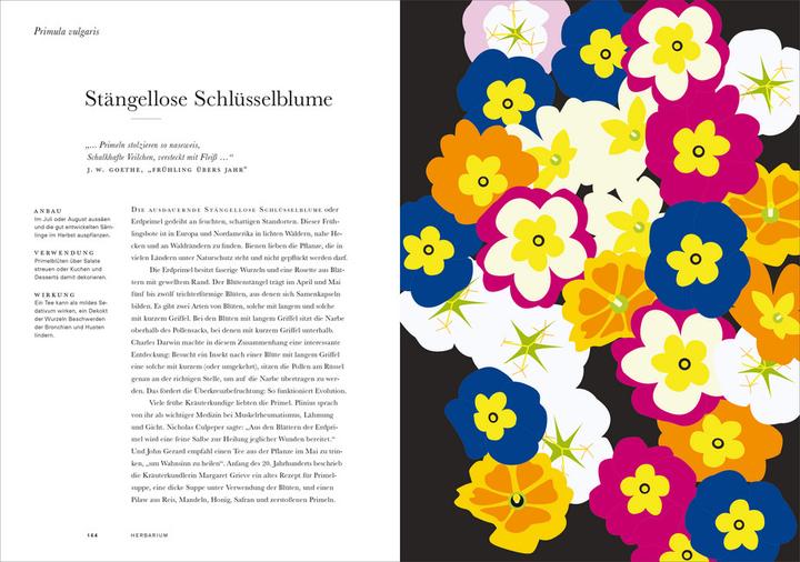 Actual product image Herbarium (German, Caz Hildebrand, 2019)