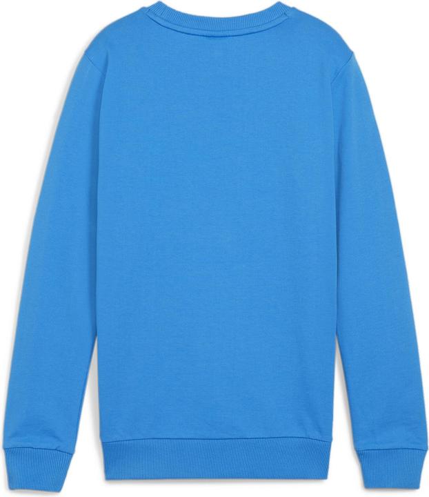 Image du produit Puma teamGOAL Casuals Crew Neck Sweat Jr (164)
