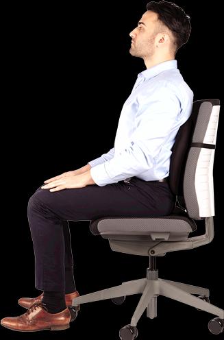 Actual product image Fellowes Back support Professonal Series