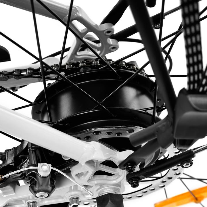 Actual product image Argento Omega White e-bike