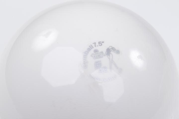 Immagine prodotto Trial ® Gymnastikball (19.05 cm)
