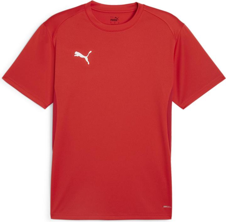 Puma teamGOAL Jersey