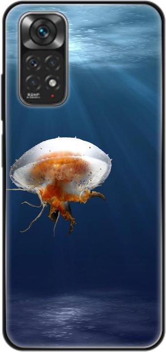 Jellyfish
