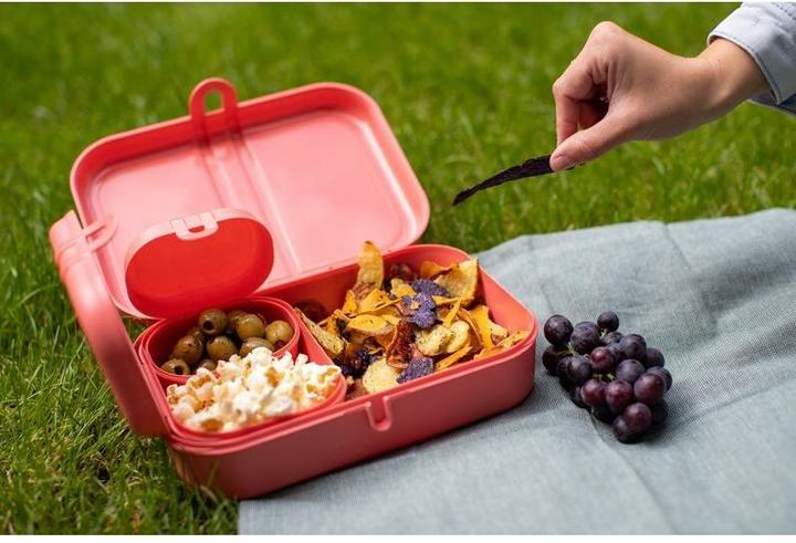 Actual product image Koziol Lunch box Pascal Ready 4 pieces, Green
