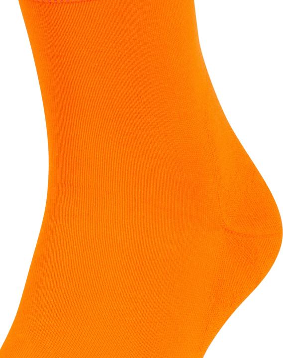 Immagine prodotto Falke Run SO (Confezione singola, 37 - 38)