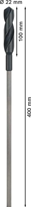 Actual product image Bosch Professional Zubehör PRO Wood HSS installation drill bit, 22 x 100 x 400 mm (22 mm)