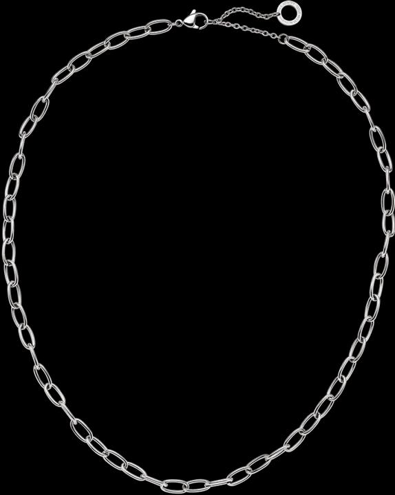 Produktbild Paul Hewitt PH-JE-0443 (Edelstahl, Recycelt, 45 - 50 cm)