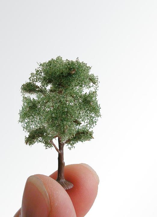Actual product image Faller Ornamental trees