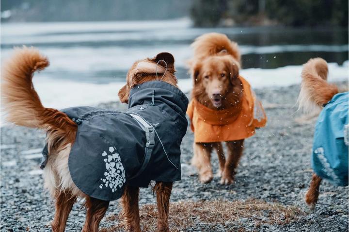 Actual product image Hurtta Monsoon (70, L, Dog coat)