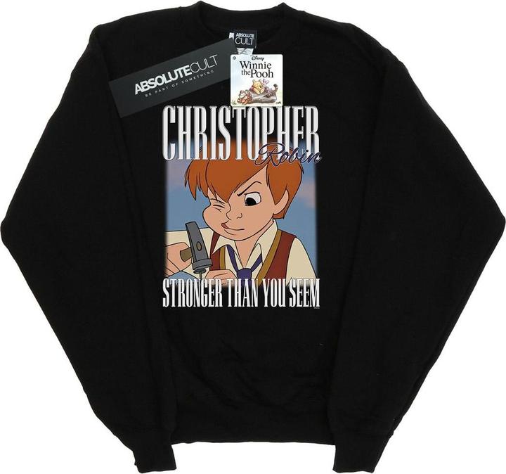 Image du produit Disney - Sweat WINNIE THE POOH CHRISTOPHER ROBIN MONTAGE - Garçon (116)