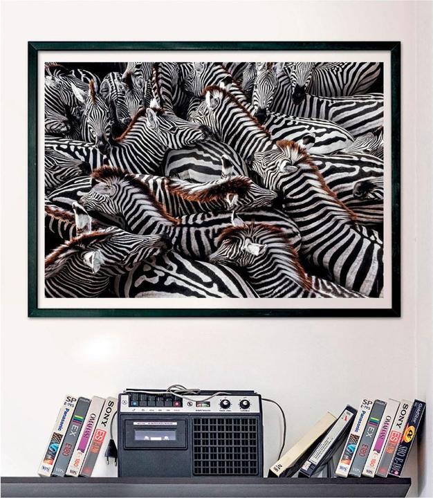 Actual product image Clementoni Puzzle National Geographics - Zebra, 1000 pieces. (1000 pieces)